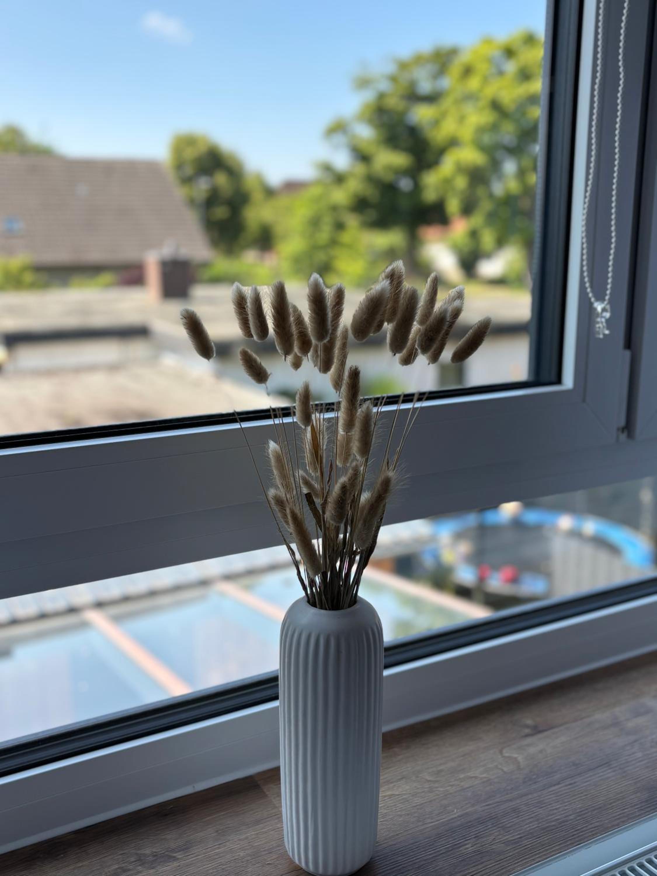 P & A Ferienwohnung