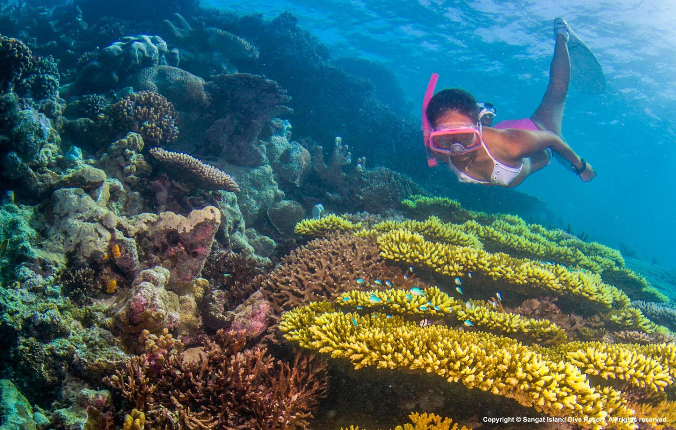 Sangat Island Dive Resort