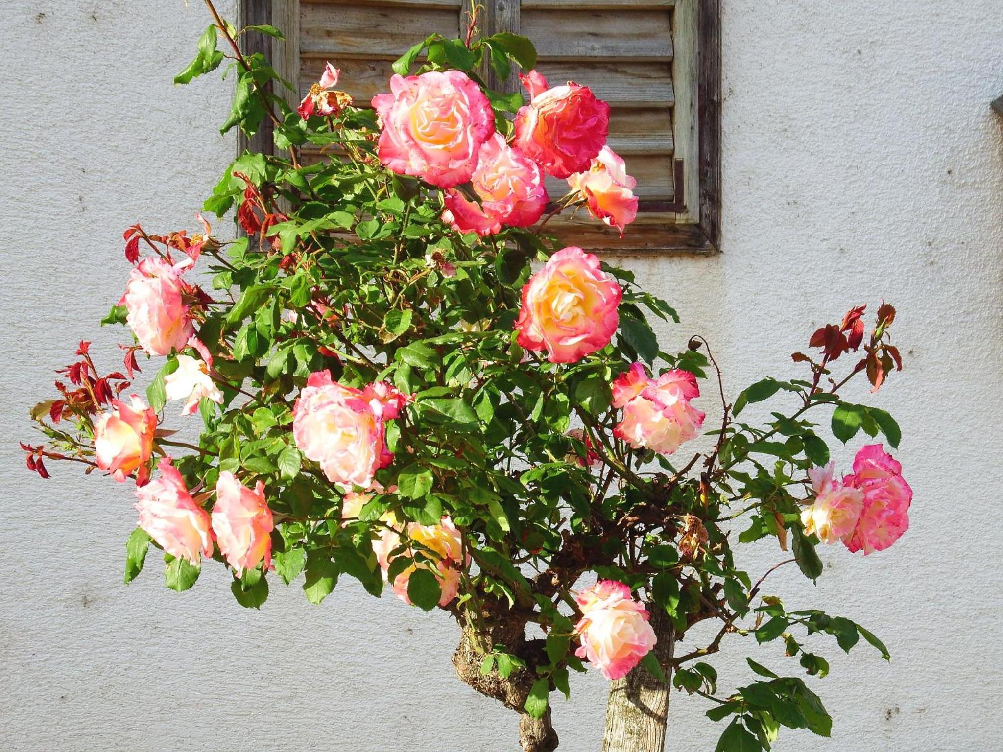 Haus Margarethe