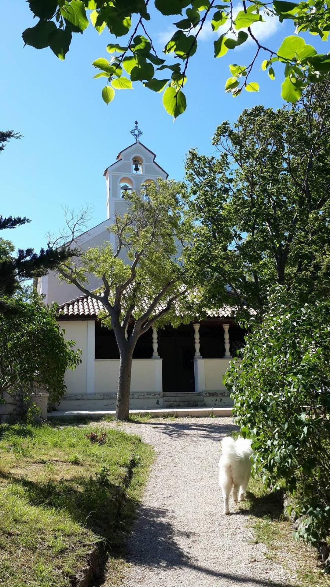 Photo 41