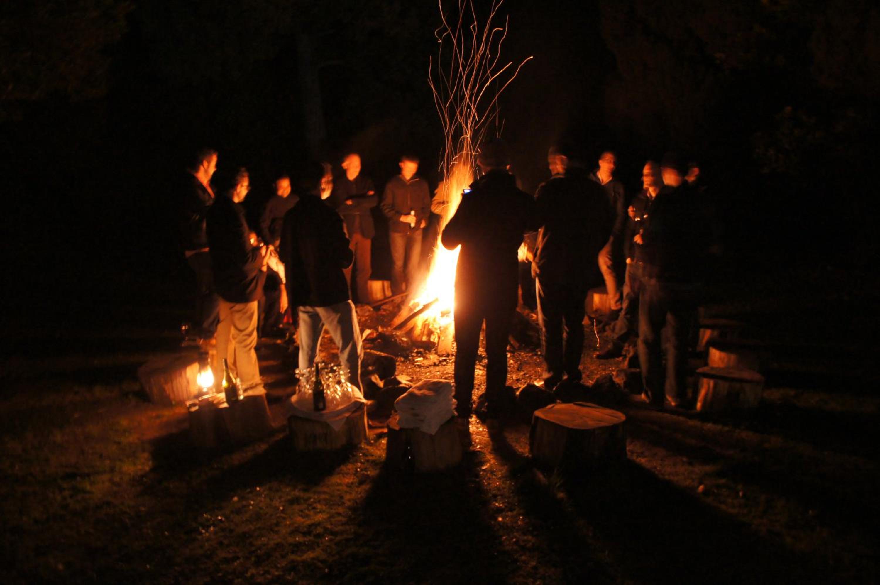 Photo 41