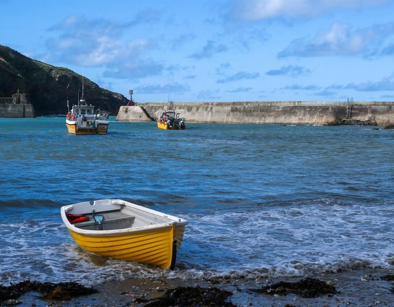 Sea Glimpses Studio Port Isaac