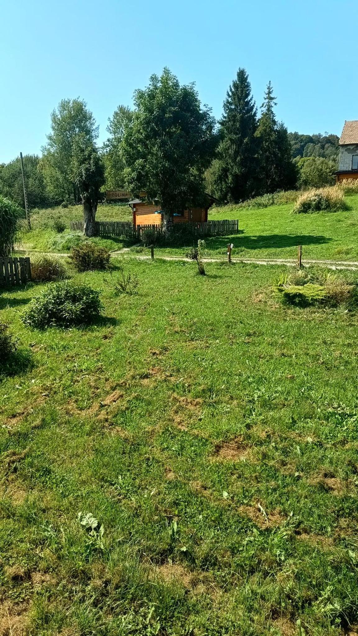 Dolina Rosy