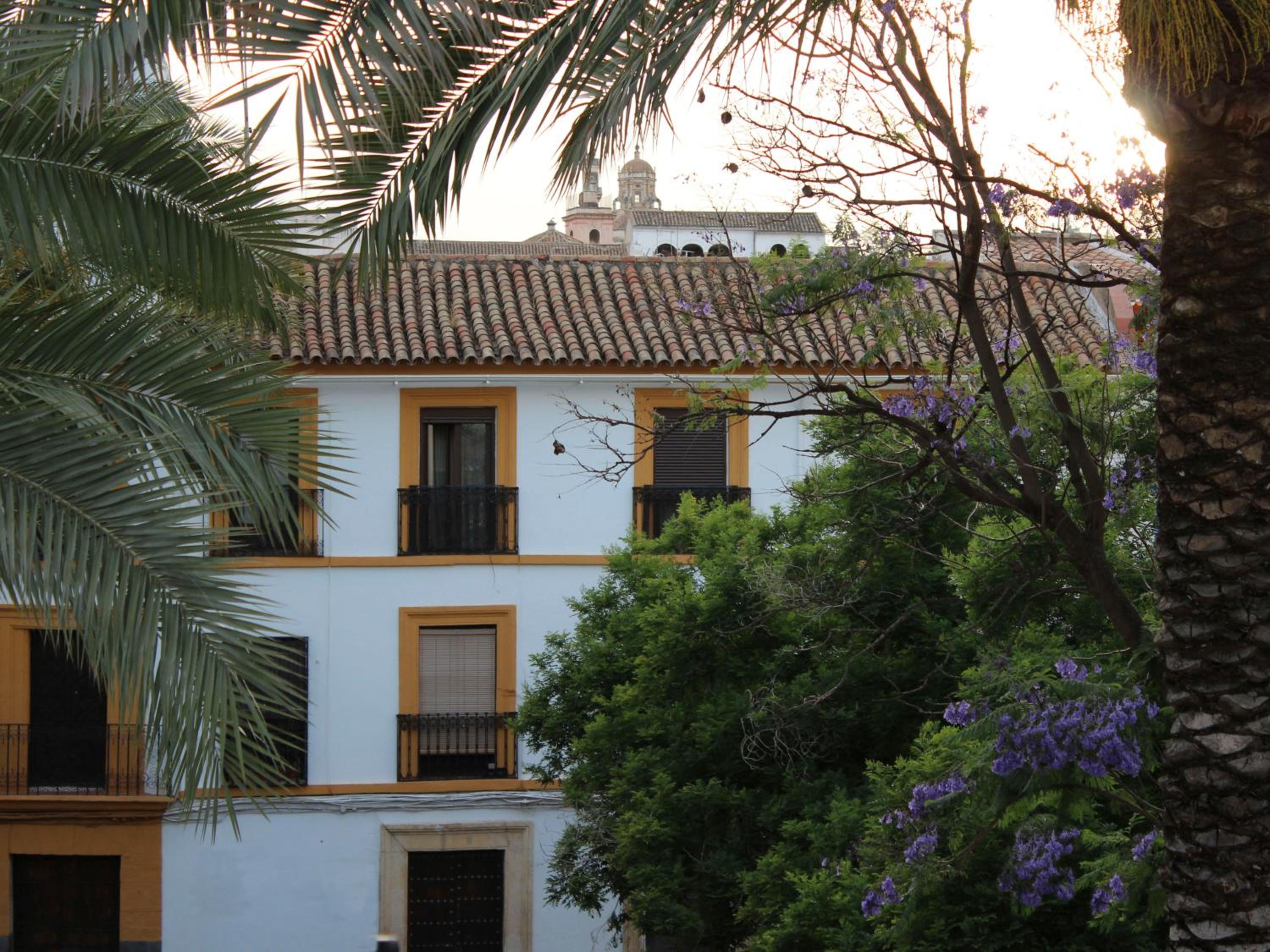 Calma Home Córdoba
