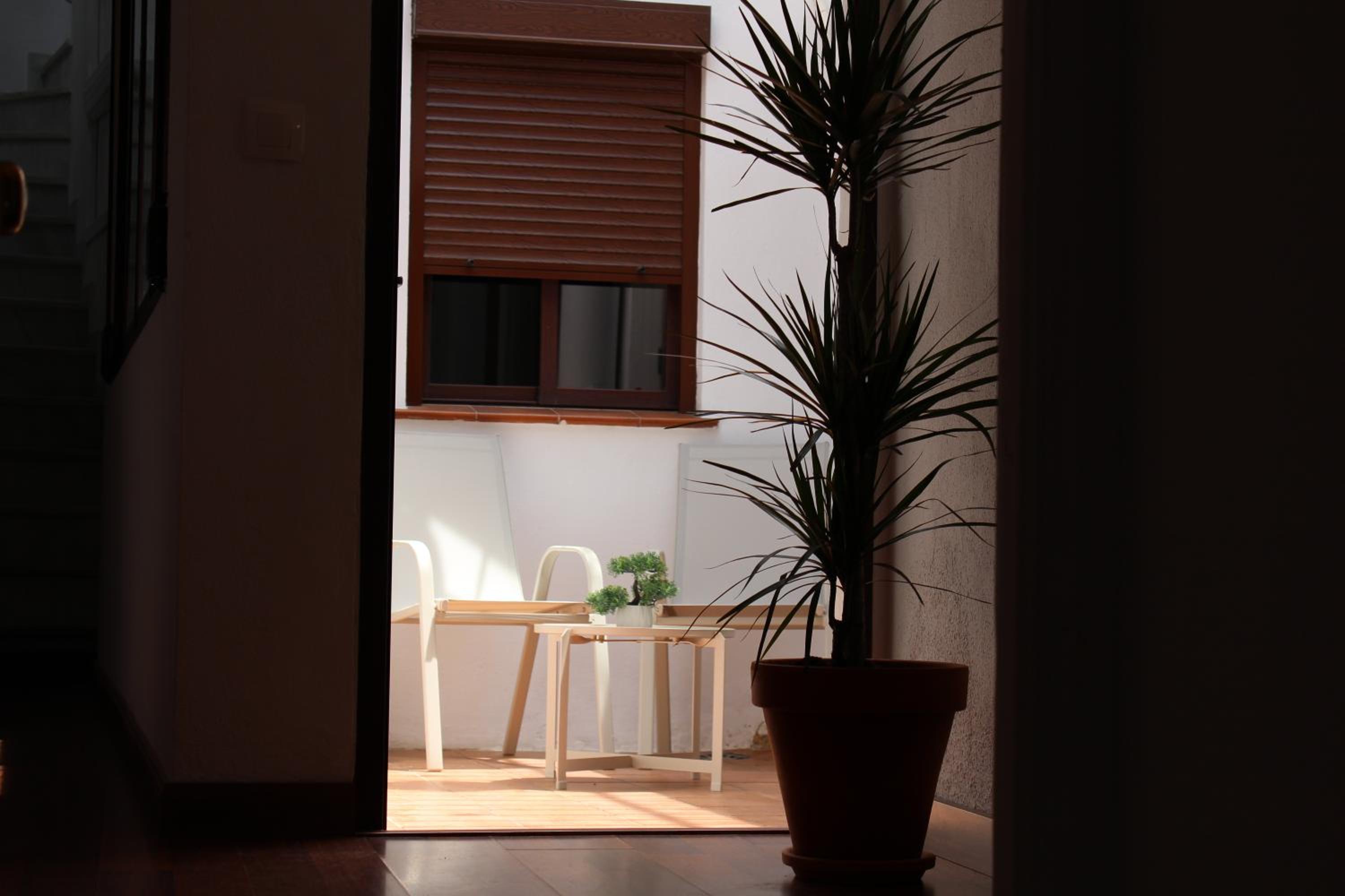 Calma Home Córdoba