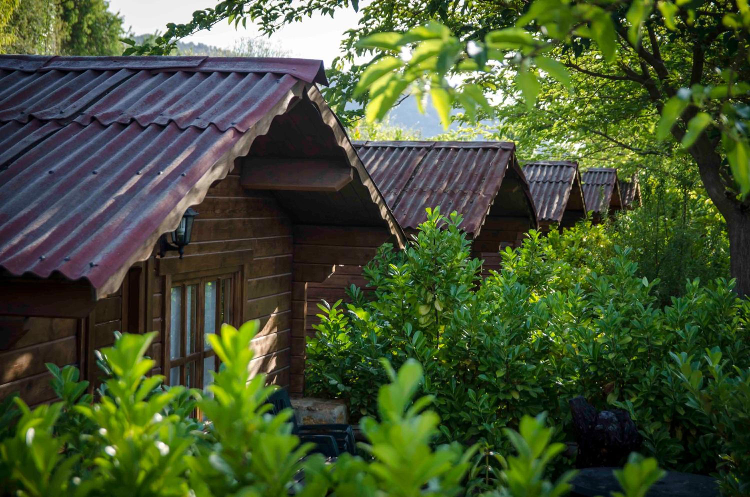 Fuente del Lobo Glamping & Bungalows - Adults Only