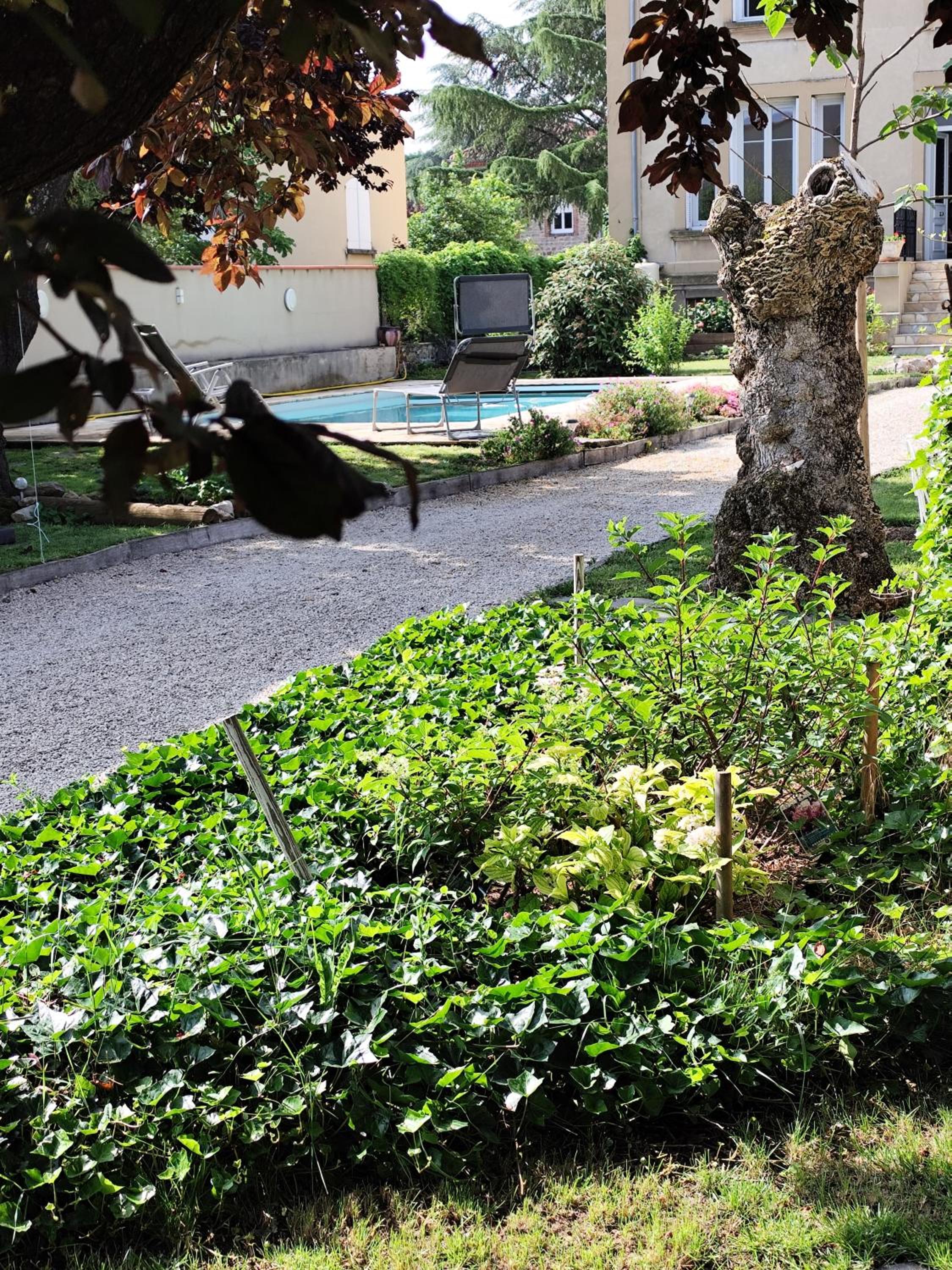 CLOCHI-CLOCHA, photo 15