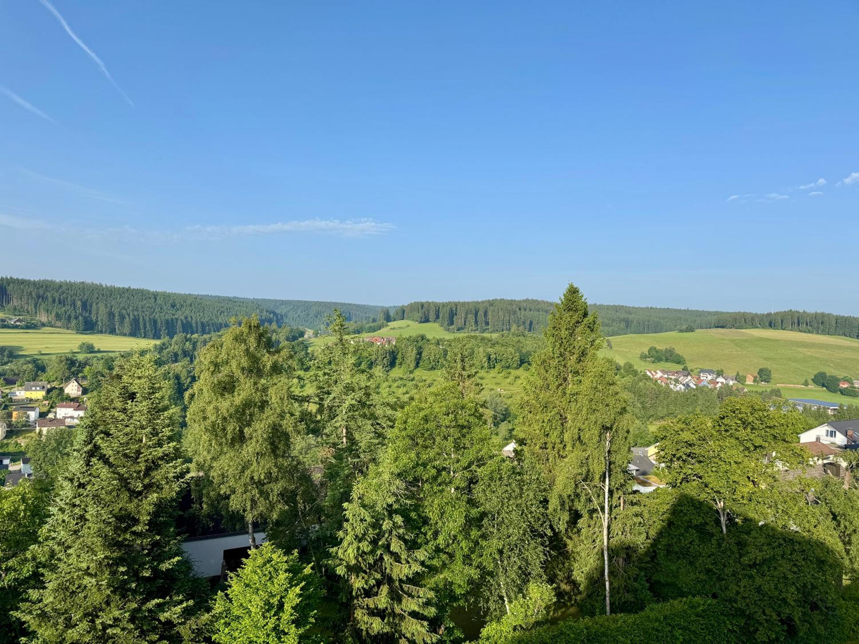 Moderne Loft im Schwarzwald mit Pool und Sauna