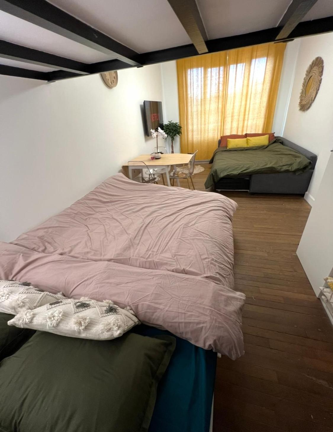 PARIS-MONTROUGE Magnifique Studio Appartement de 35m2 - très cosy pour 1 à 6 personnes refait à neuf - ENTIRE APARTMENT LUXURIOUS AND WARM - Montrouge Pari