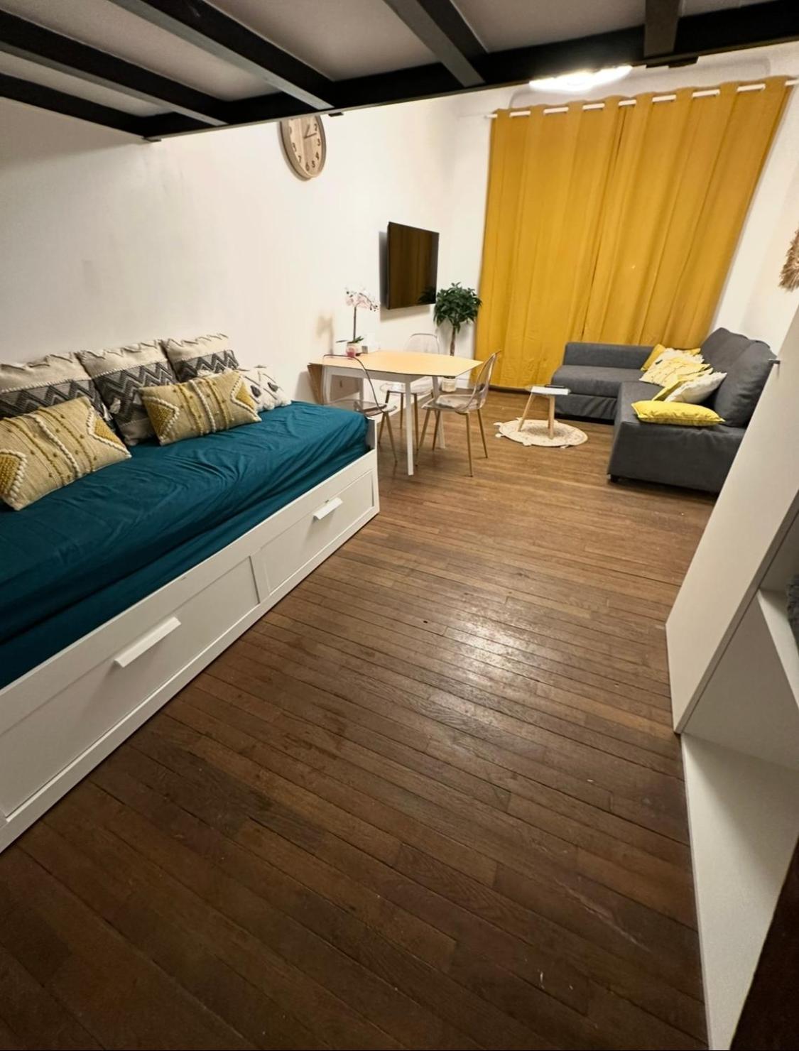 PARIS-MONTROUGE Magnifique Studio Appartement de 35m2 - très cosy pour 1 à 6 personnes refait à neuf - ENTIRE APARTMENT LUXURIOUS AND WARM - Montrouge Pari