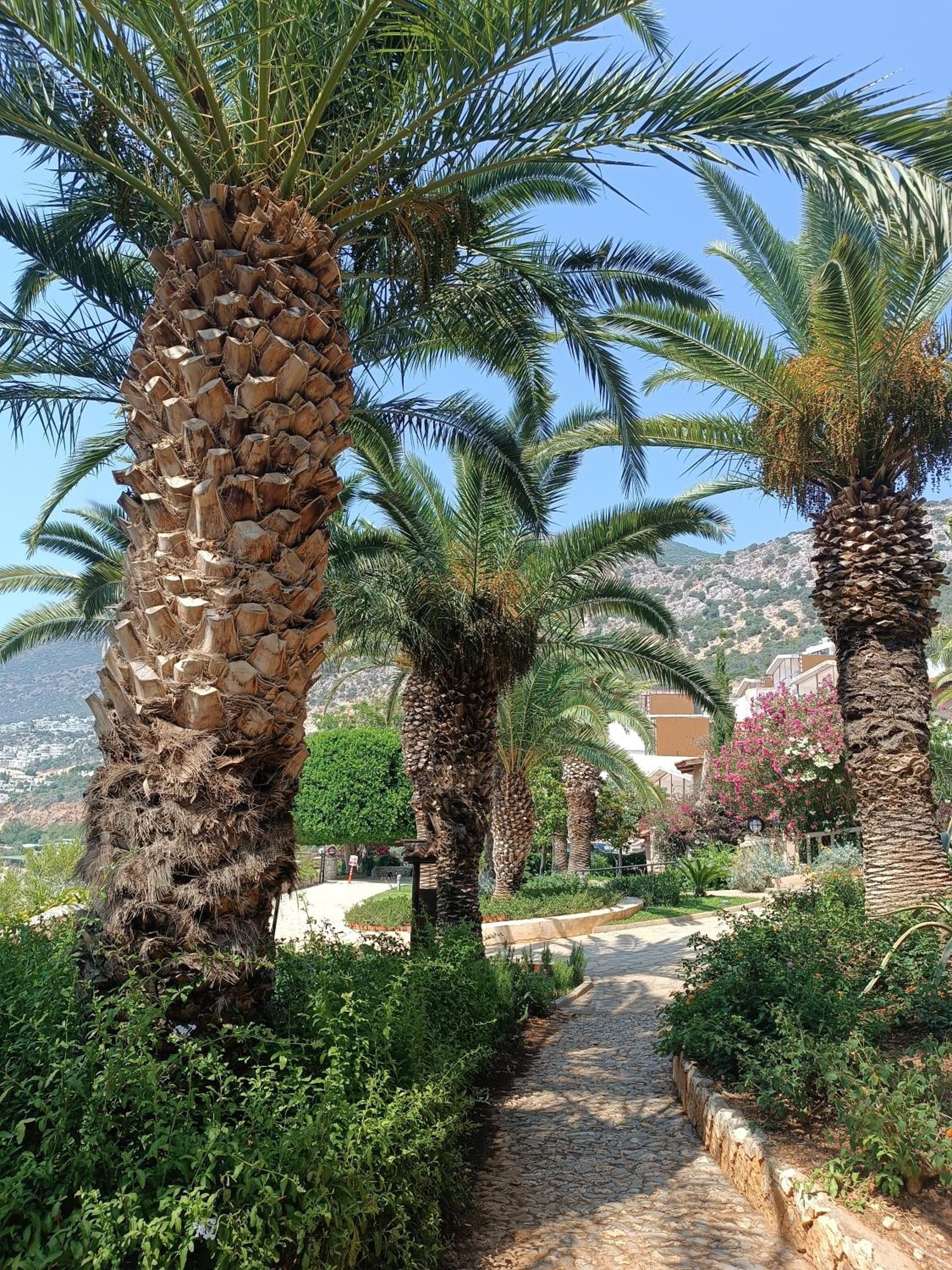 Cactus Garden Kalkan - Private Mediterranean Home at Club Patara
