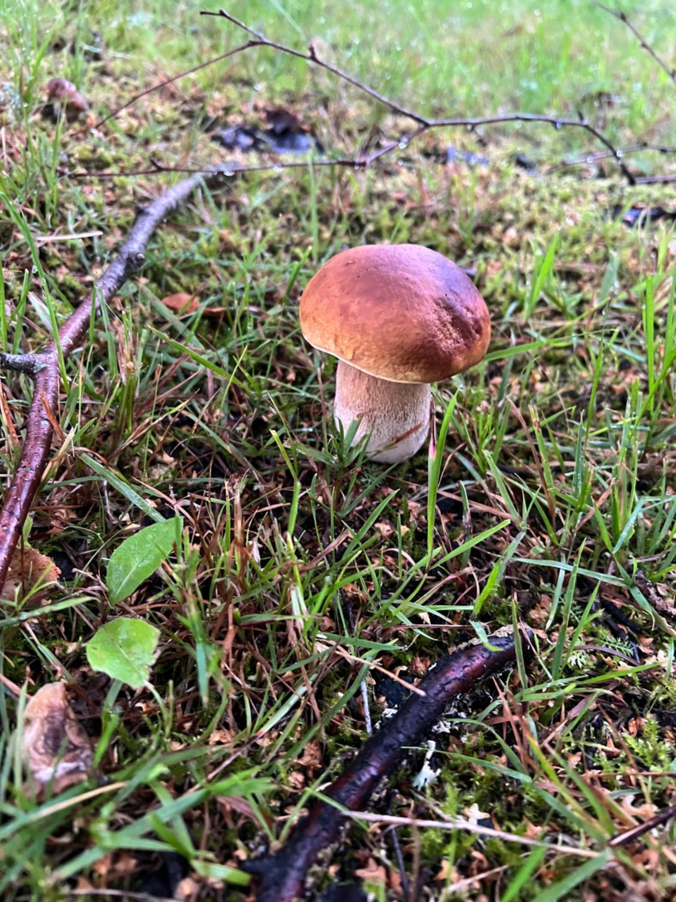 Photo 22