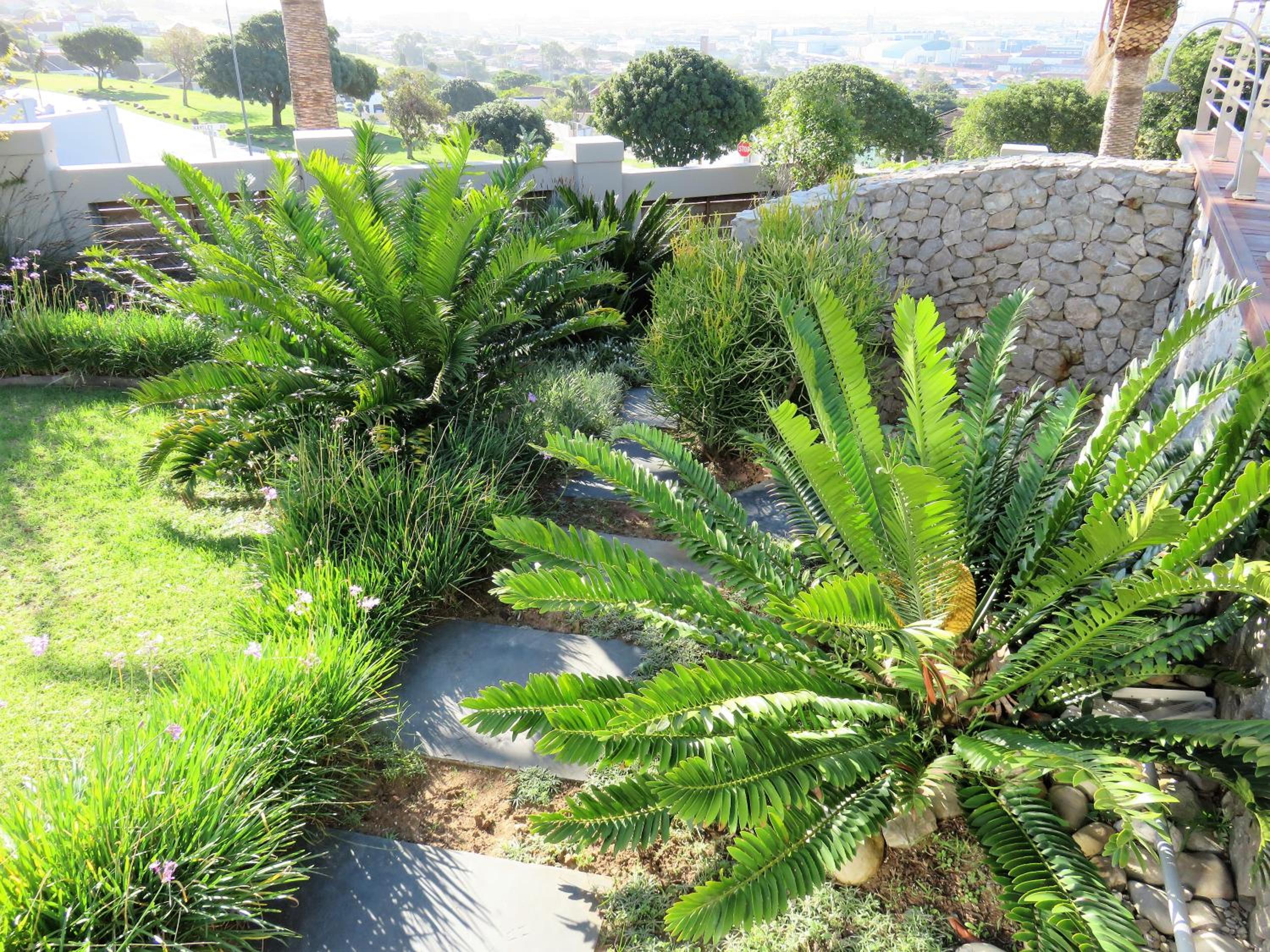 Island Way Villa