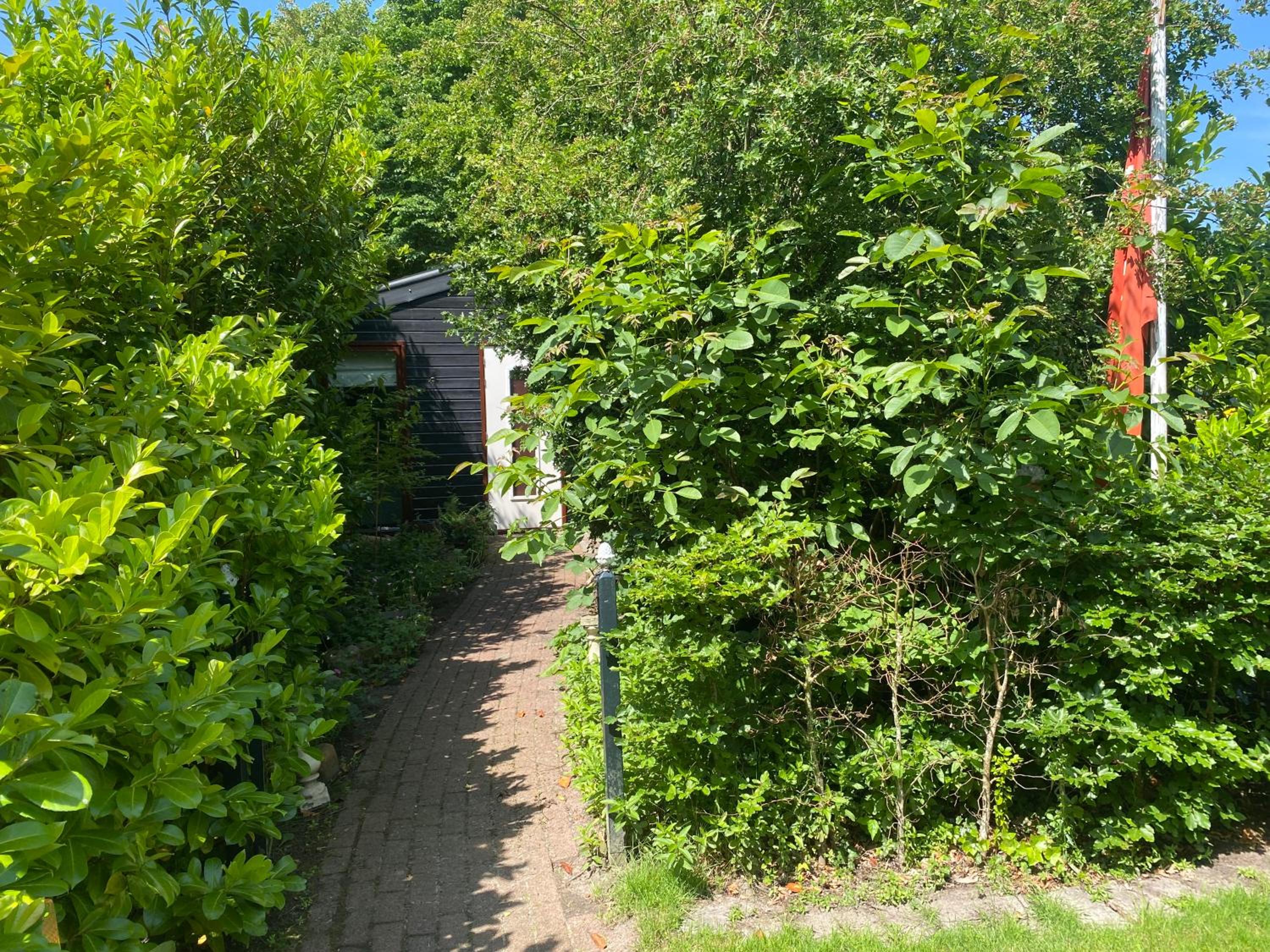 Photo 31