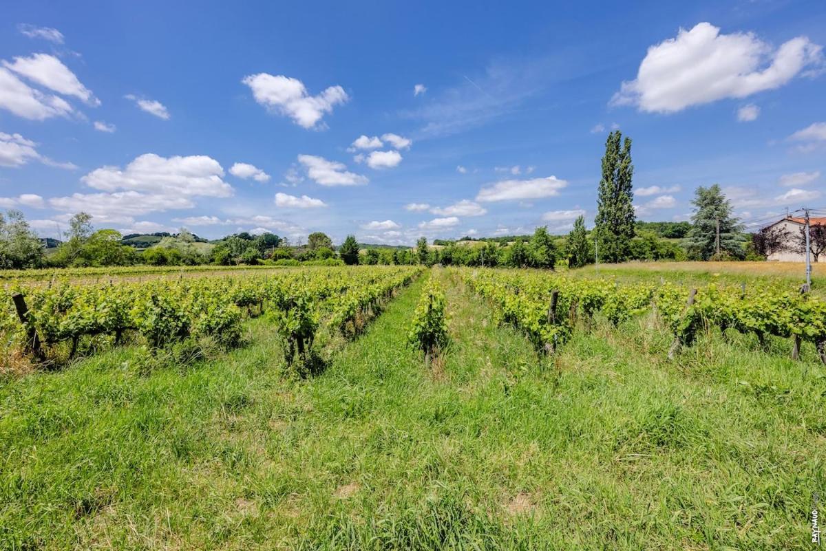 Le gîte de la Grappe - Terrasse - Gaillac