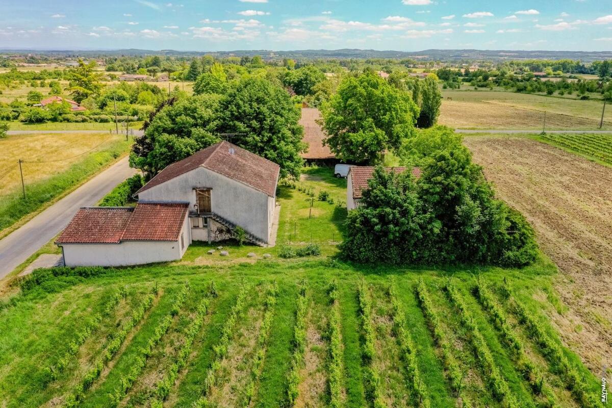Le gîte de la Grappe - Terrasse - Gaillac