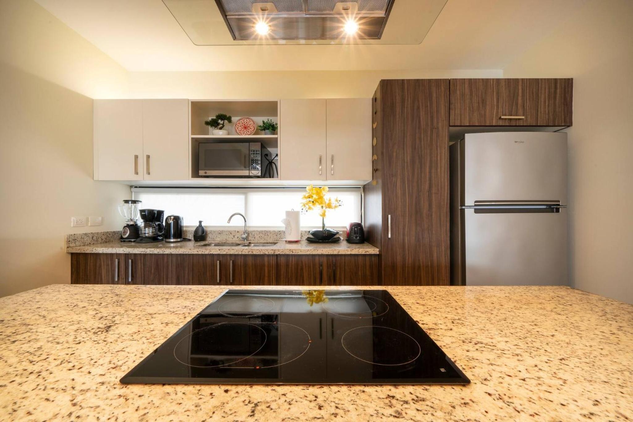Modern Penthouse with 2 Br, Tub & Pool at Arenis Condos - 509