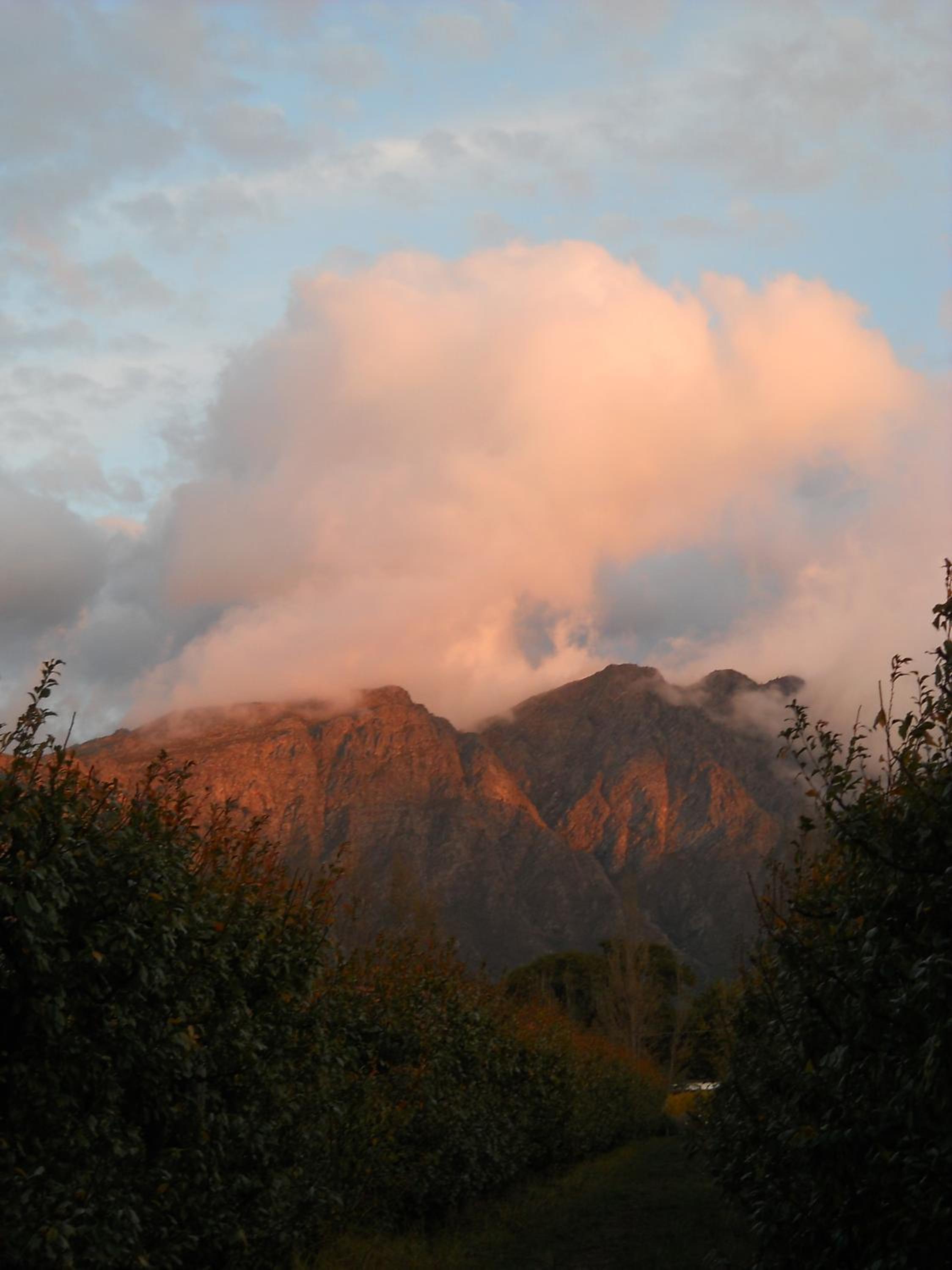 Photo 46