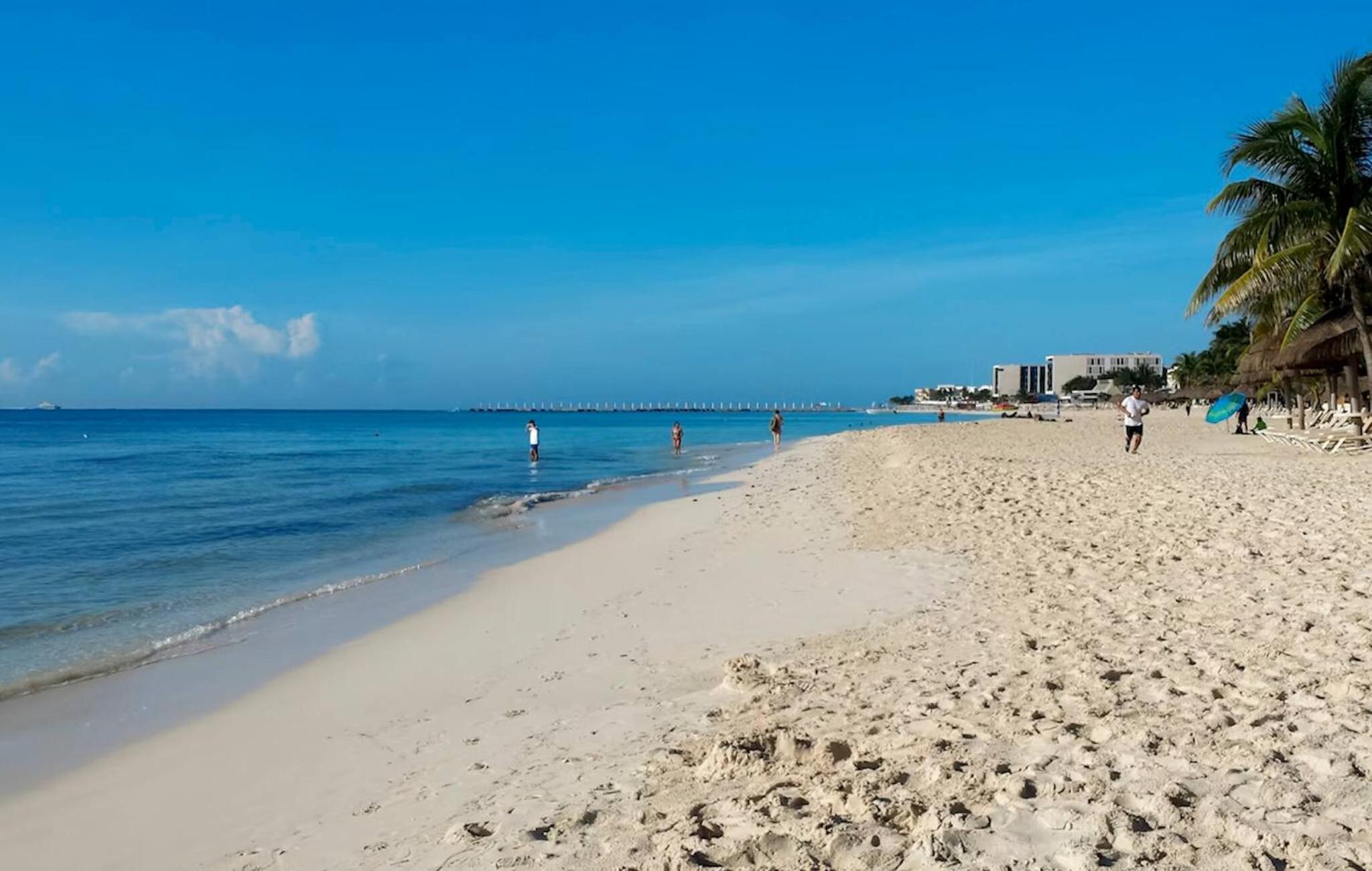Luxury 2 level Penthouse with 2 BR - Only 3 Blocks from the beach - Meridian 310