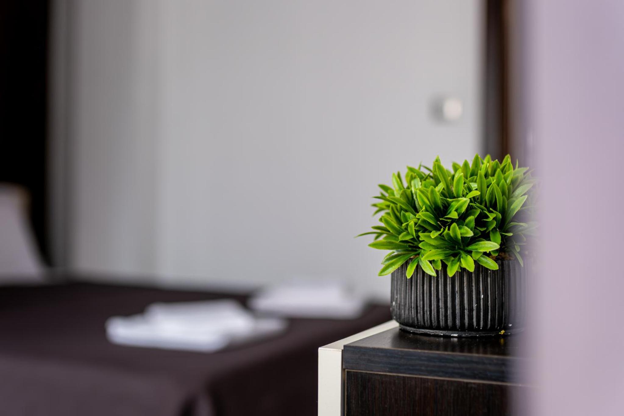 Deluxe Apartment with 2 Bedroom in Center Varna