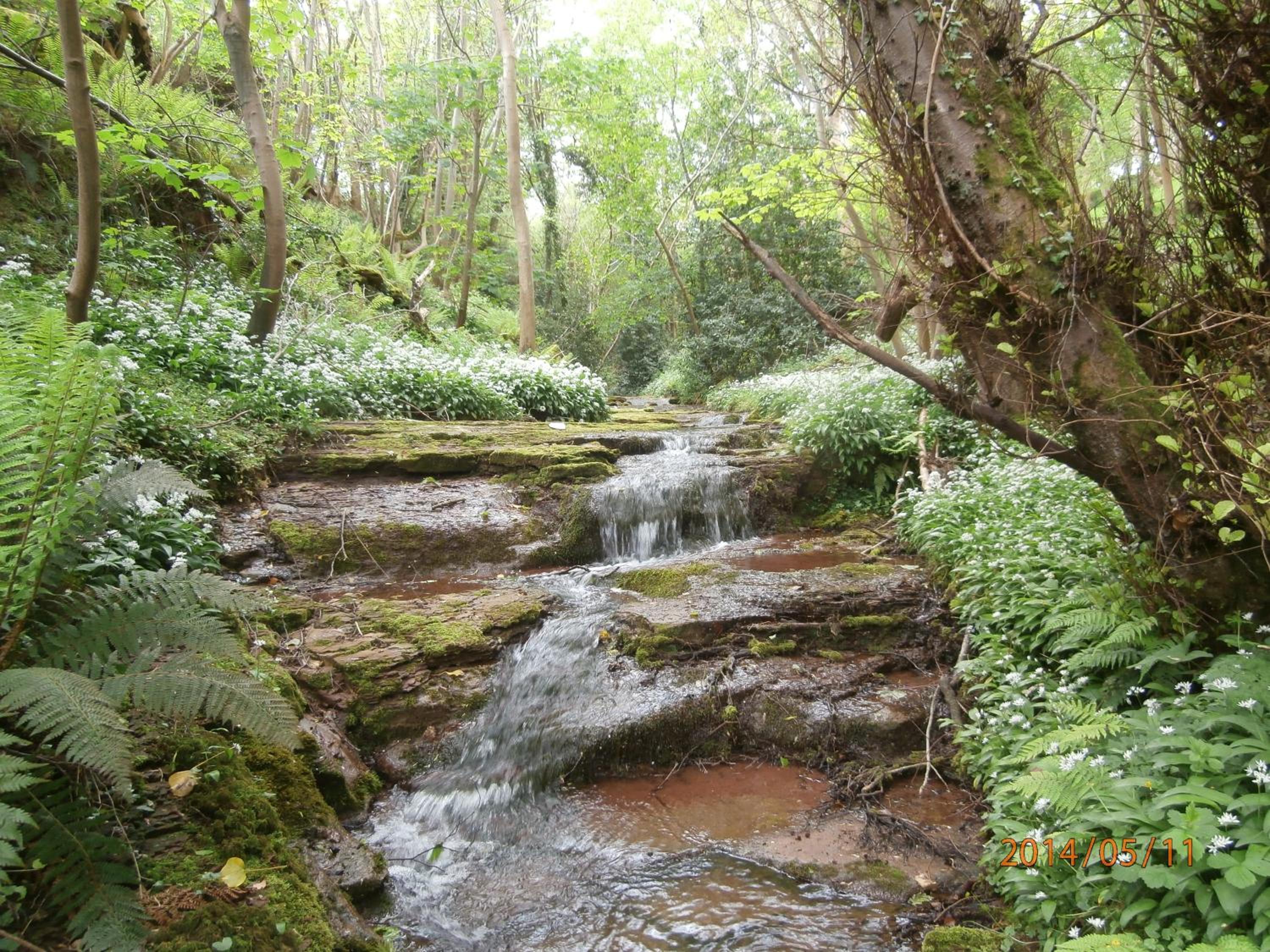 Photo 18