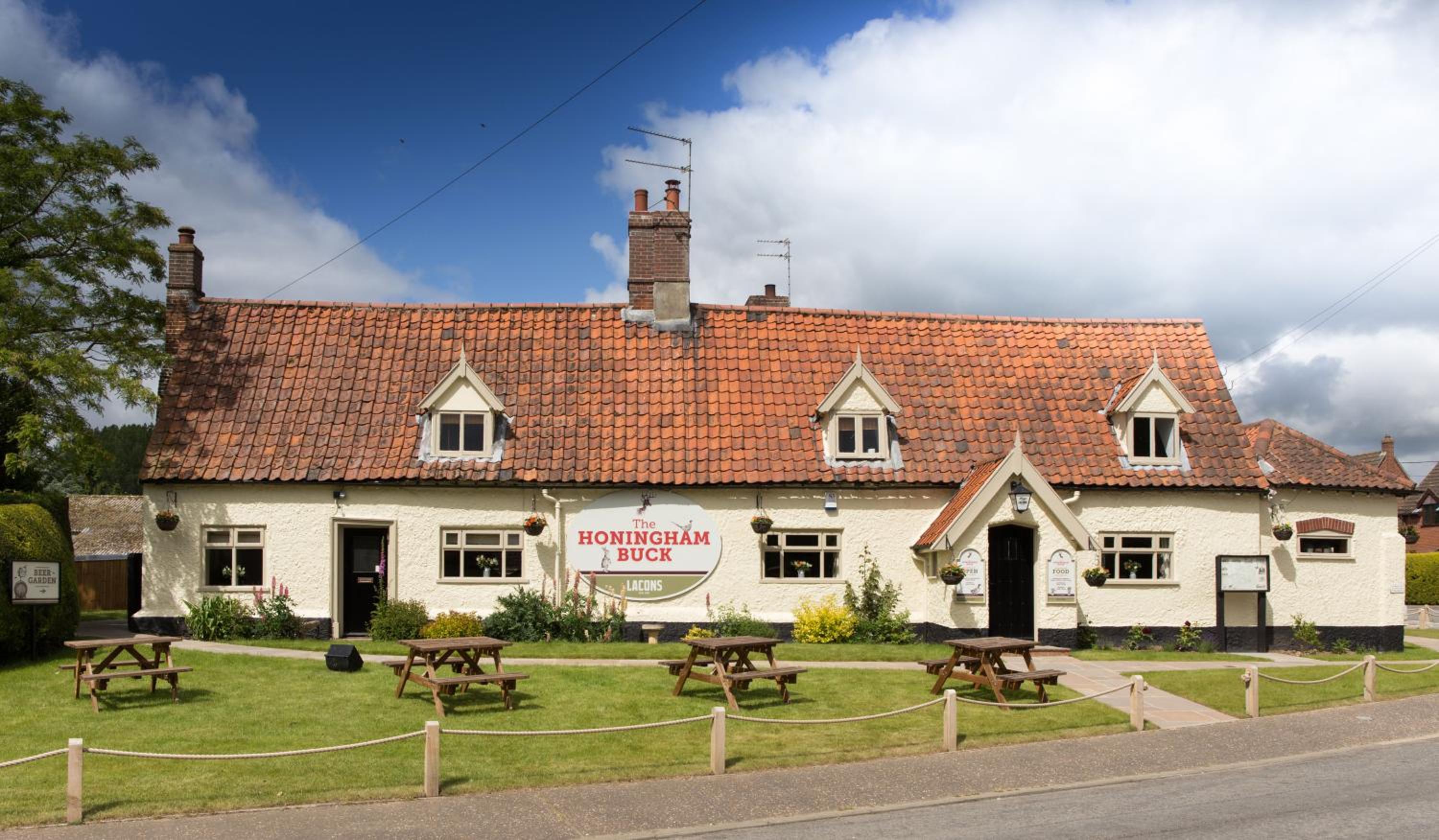 The Honingham Buck