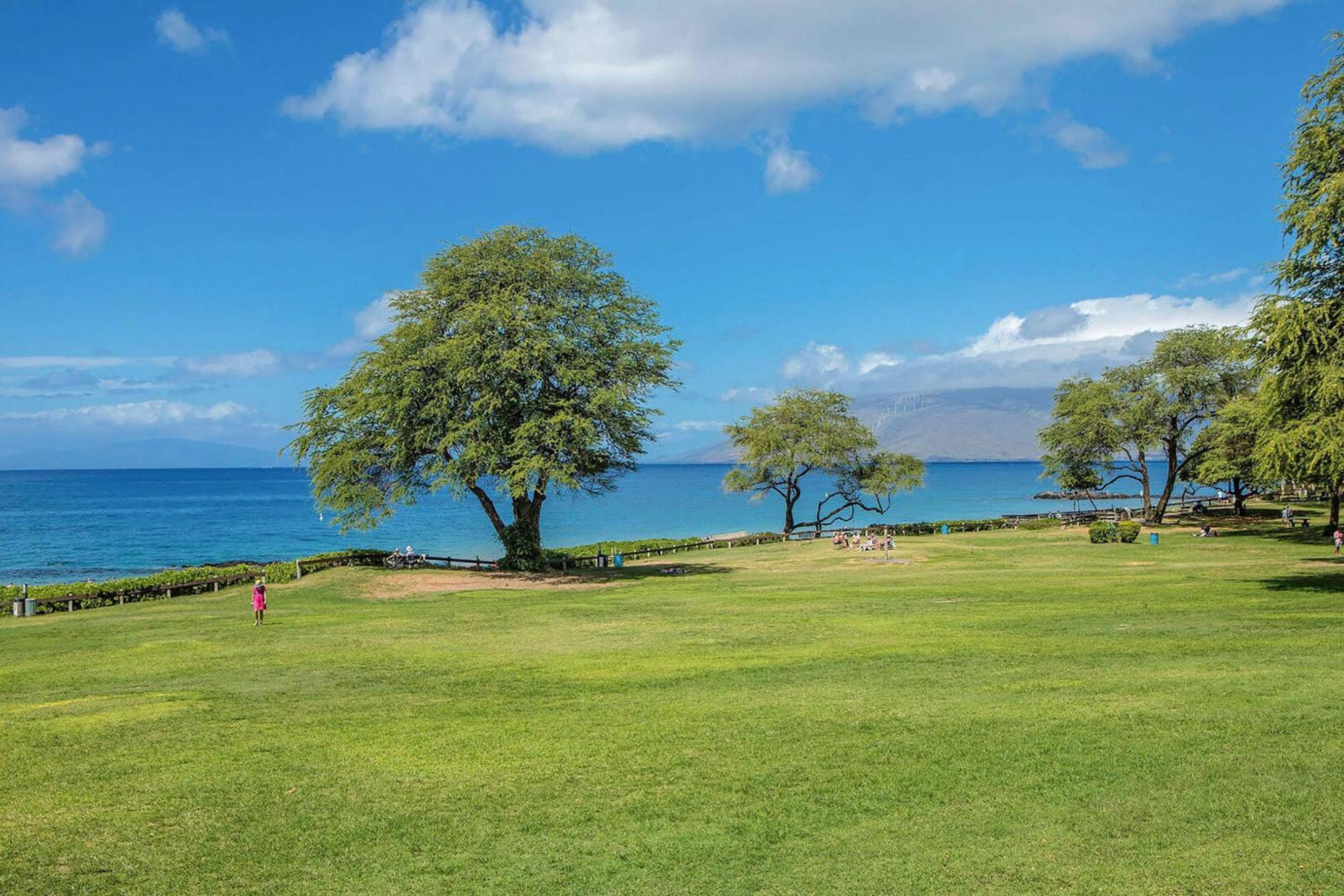 Experience Kamaole Sands 4-409 - Ocean Views, Spacious, Renovated, Wi-Fi, AC!