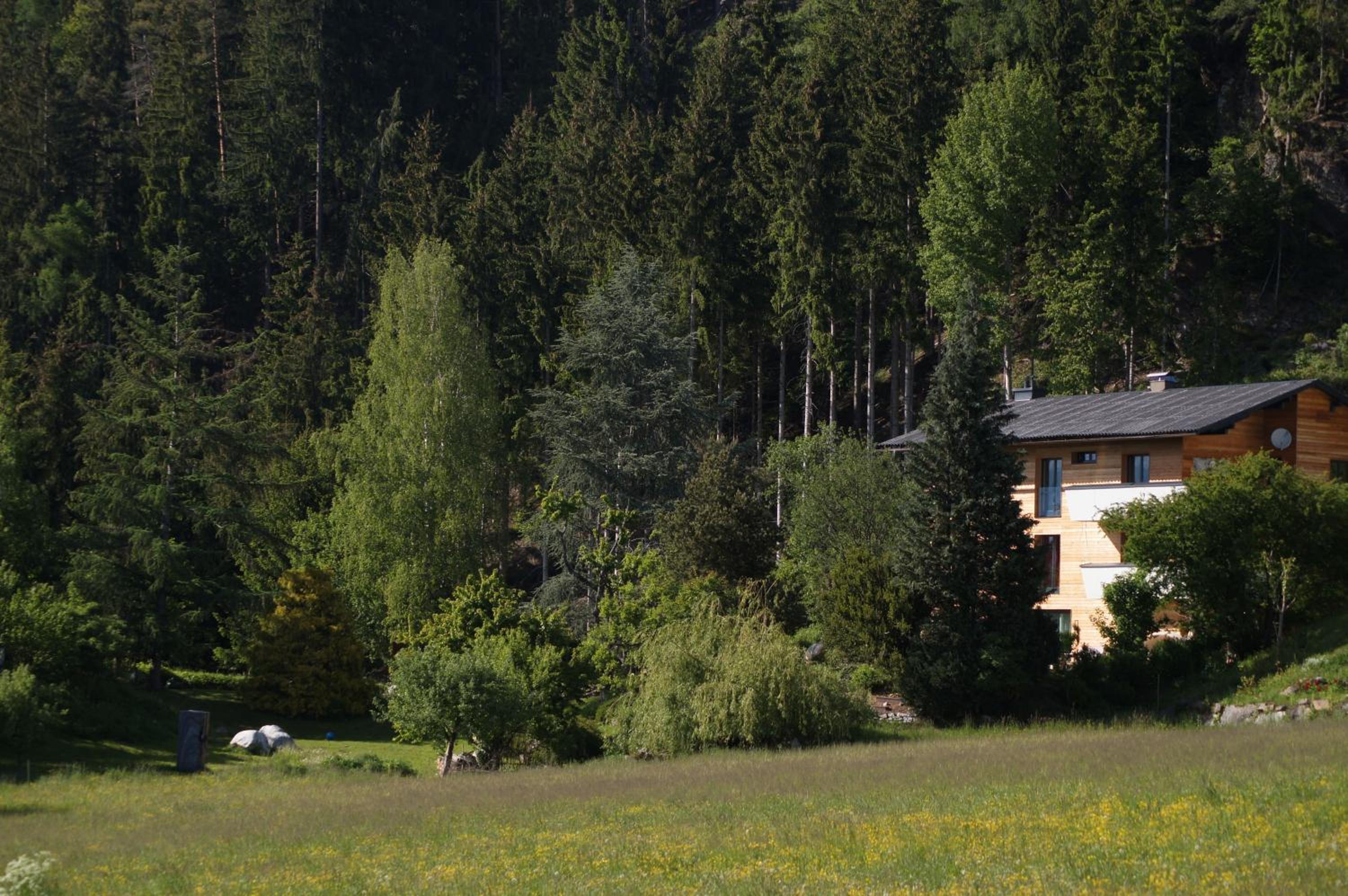 Photo 17