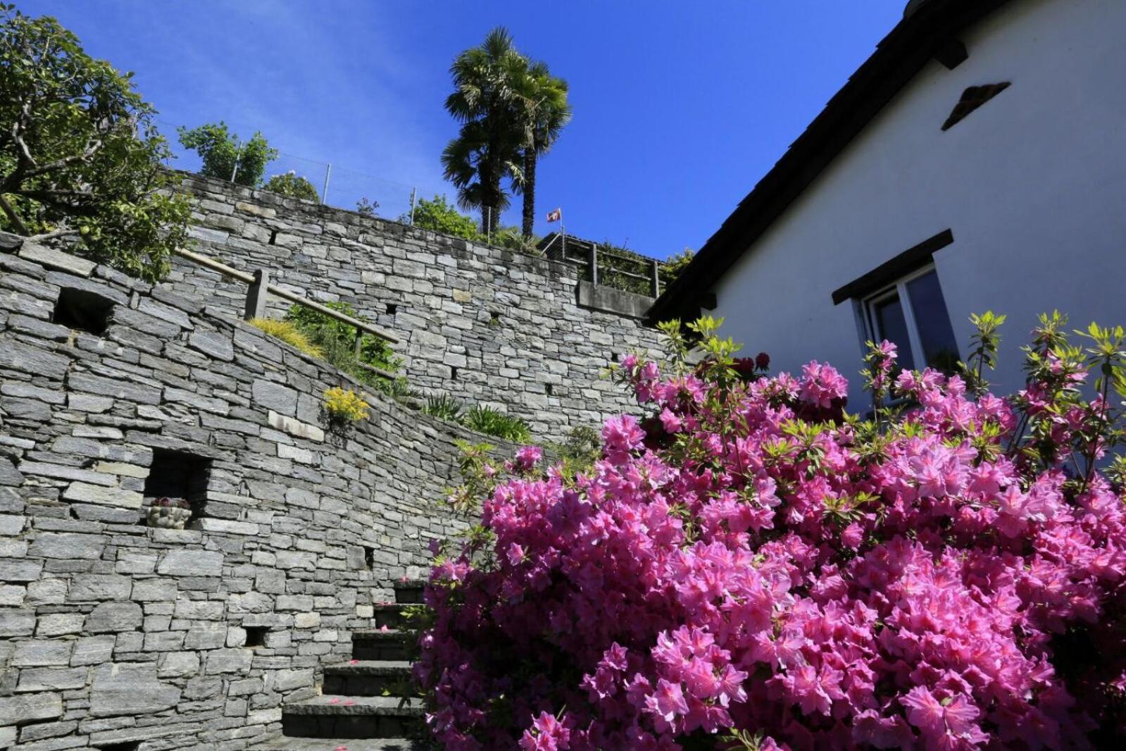 Casa Micheroli
