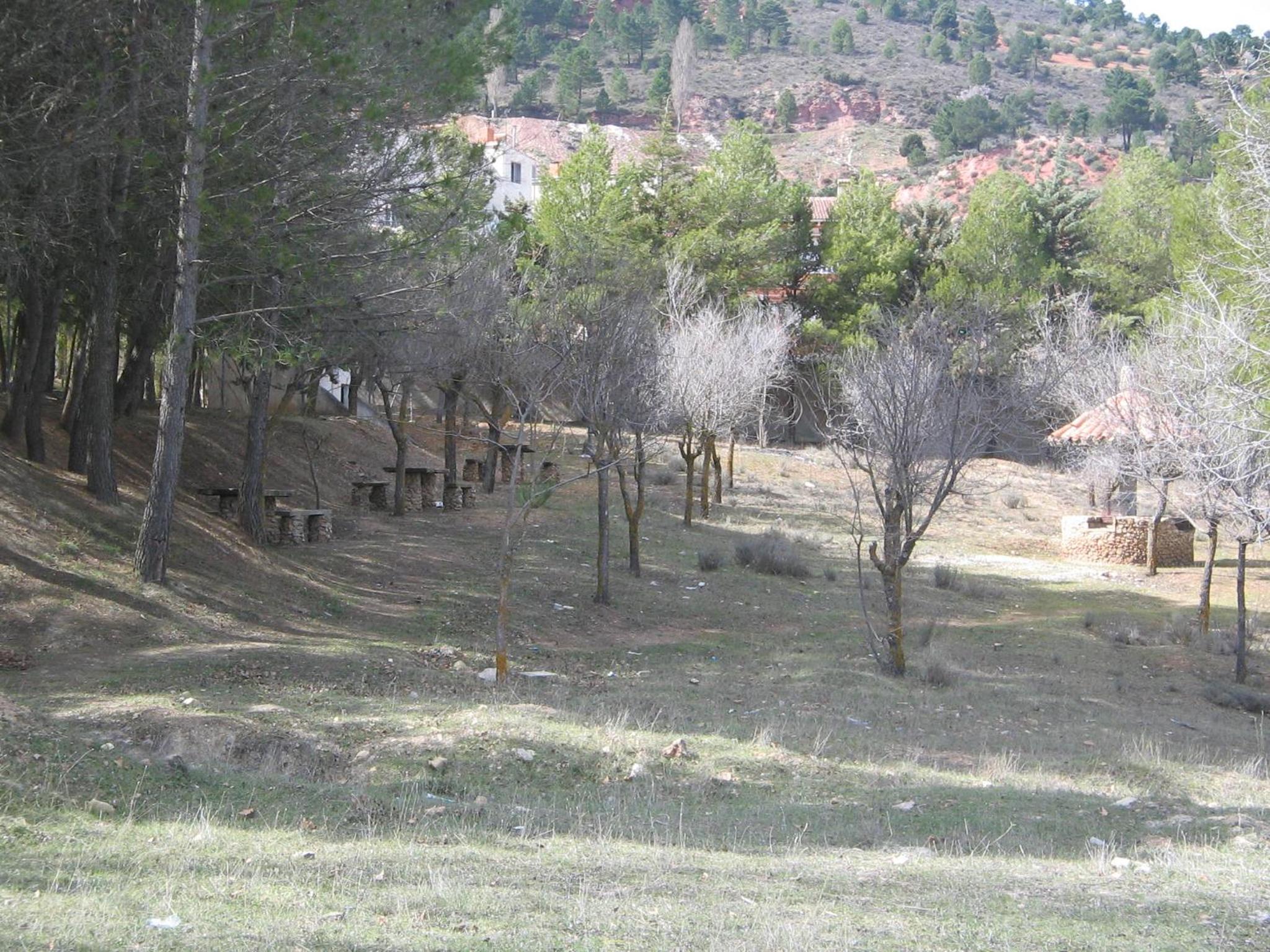 Photo 24