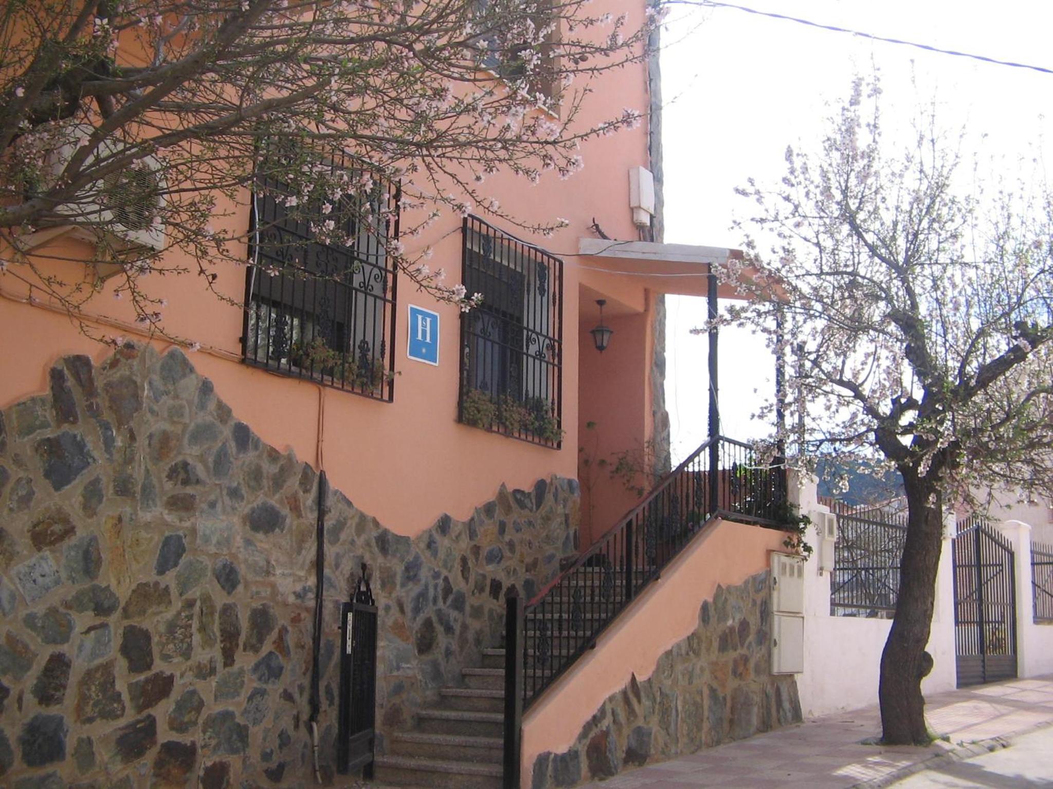 Photo 23