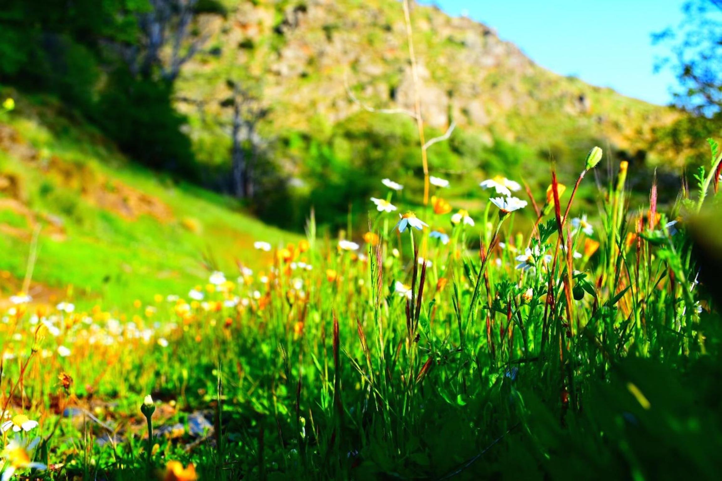 Apartamentos Vista Veleta