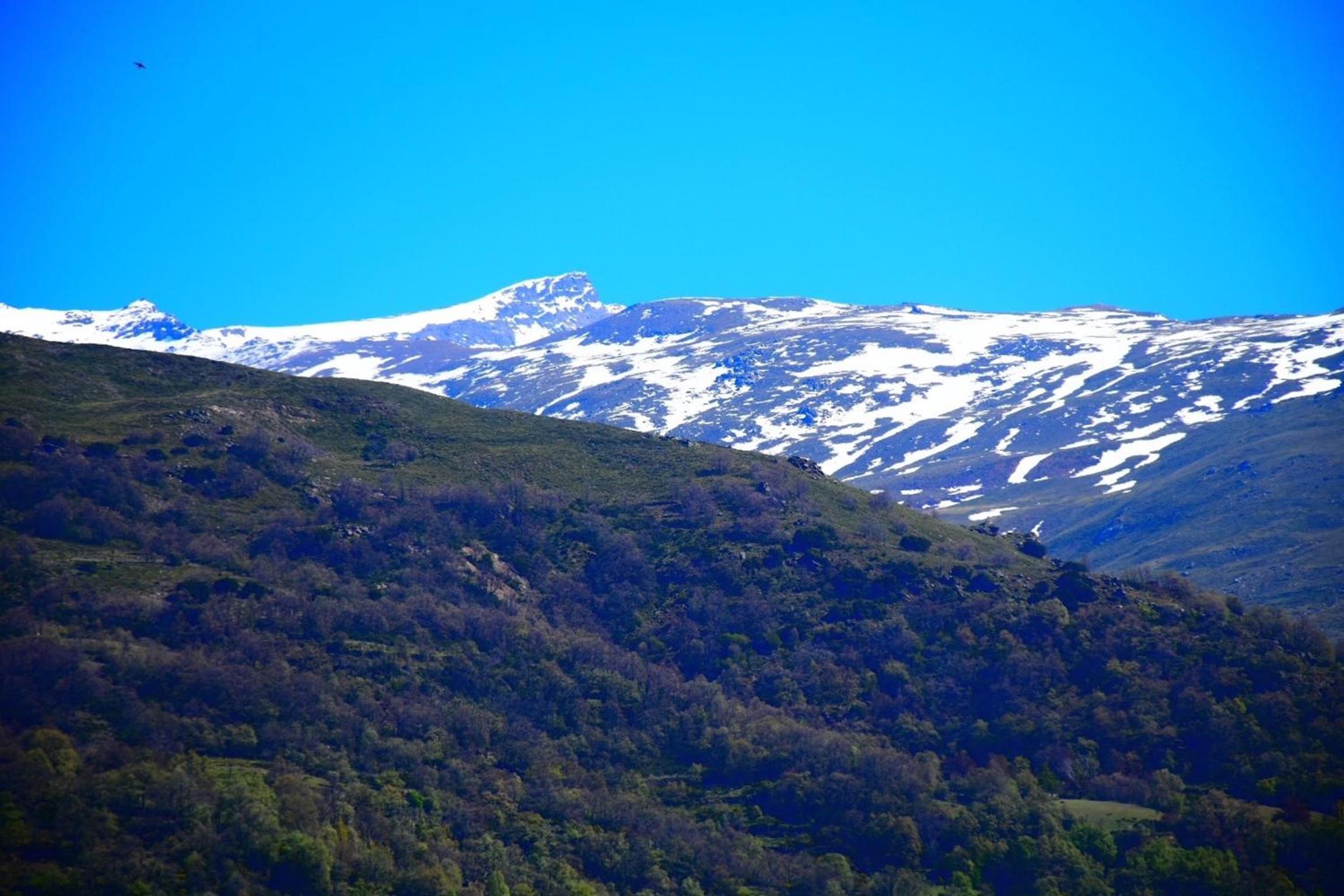 Apartamentos Vista Veleta