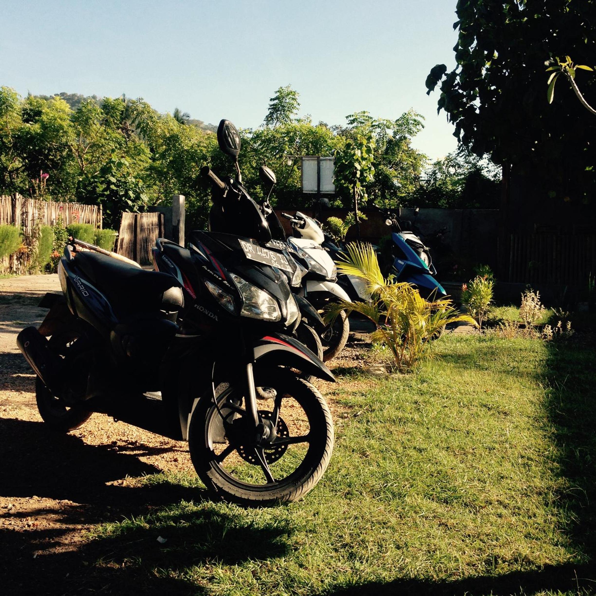 Photo 20