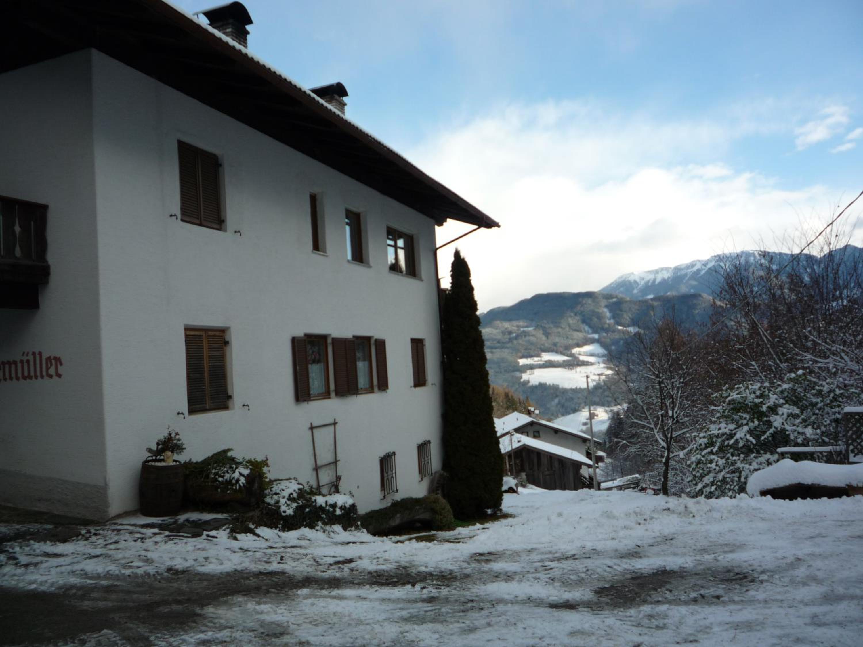 Photo 41