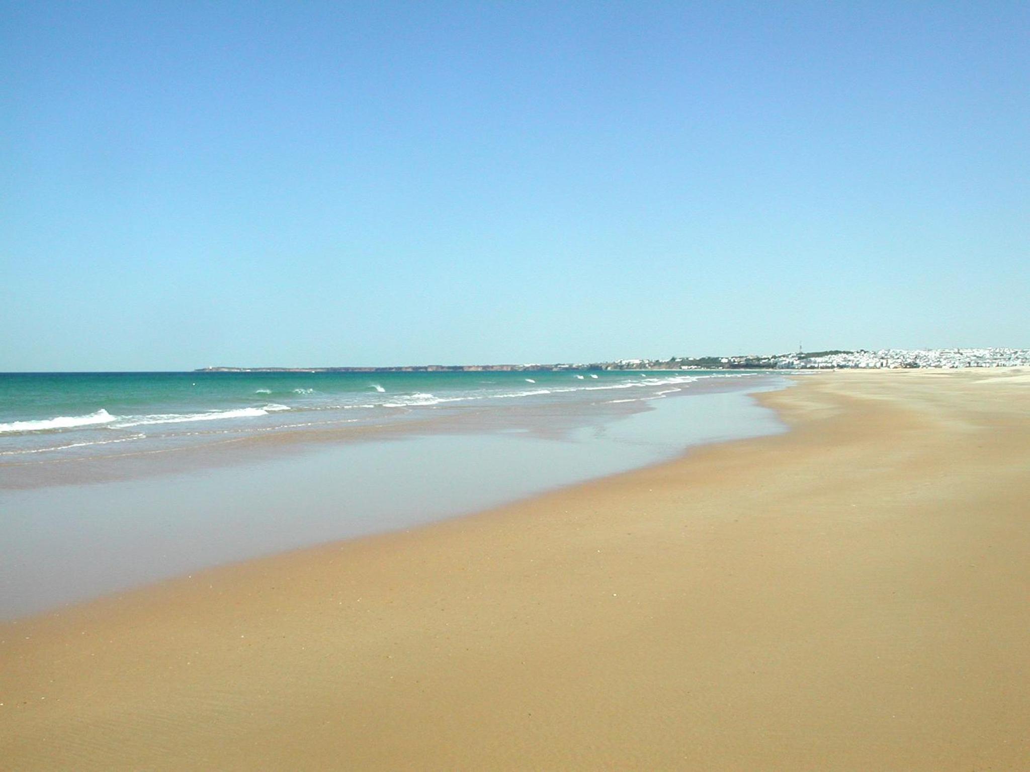 Photo 49