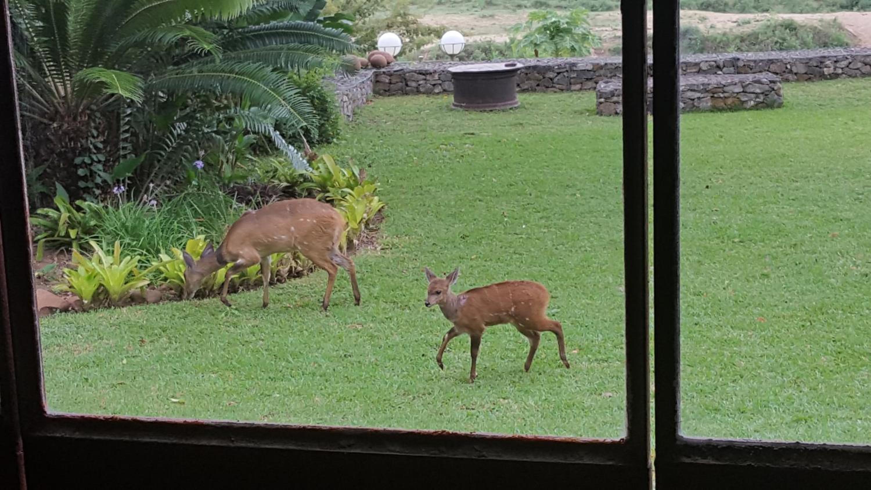 River House Lodge