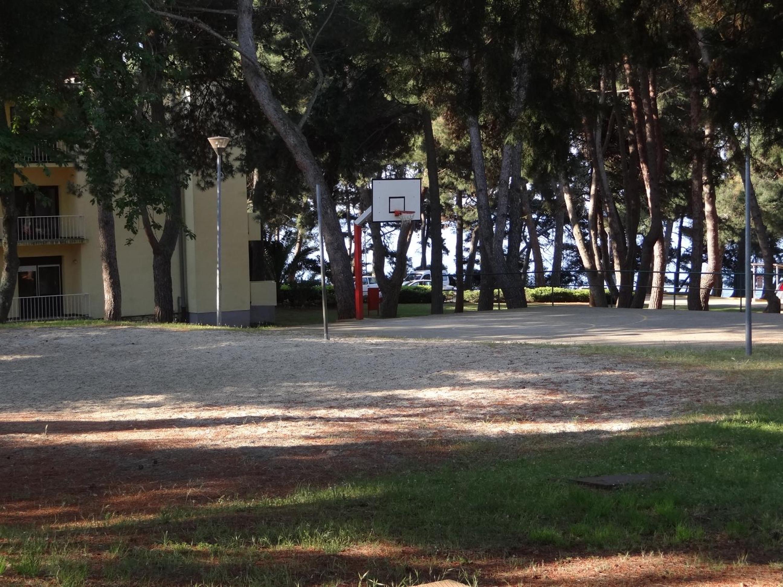 Photo 47