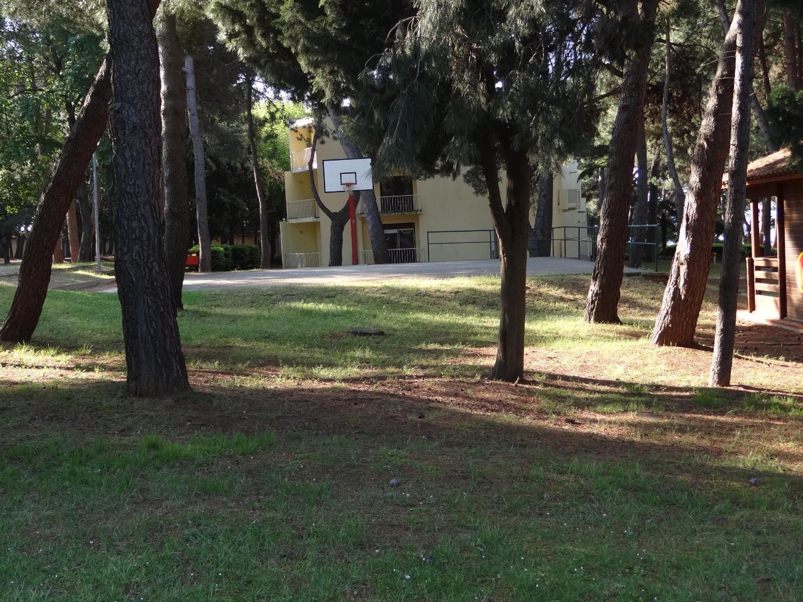 Photo 49