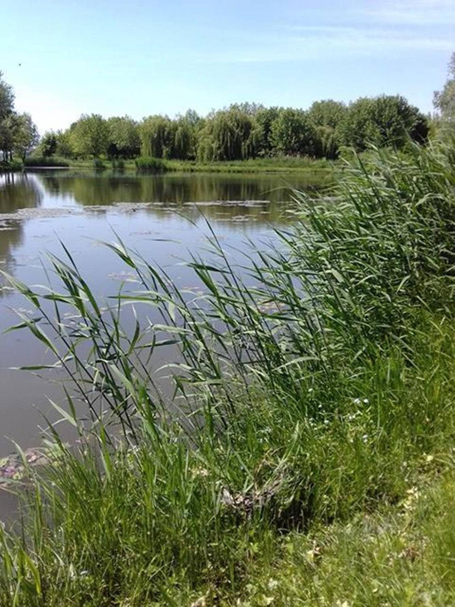 Photo 14