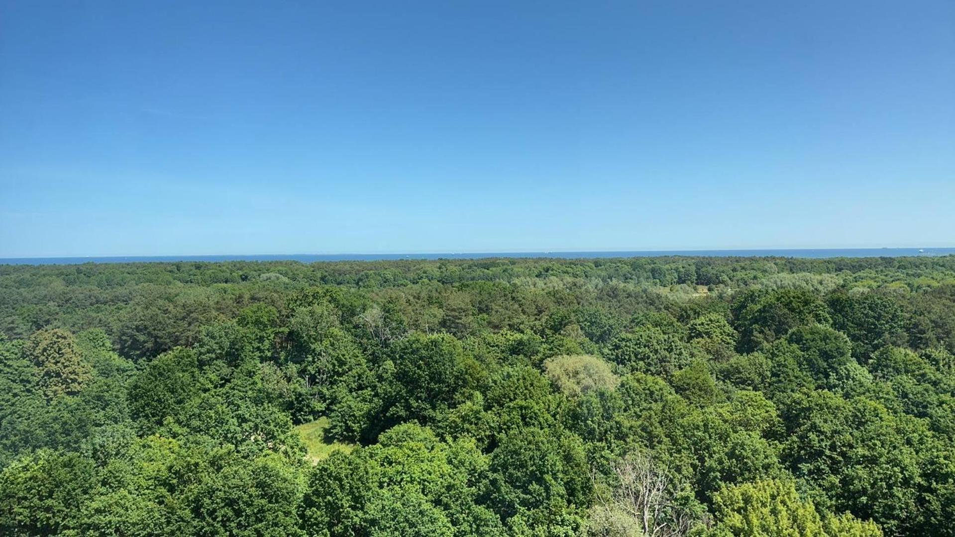 Widok - Klima - WiFi - Netflix - Sauna - Darmowy parking - Siłownia - Obok plaży - Mieszkanie z widokiem na morze 6 osób