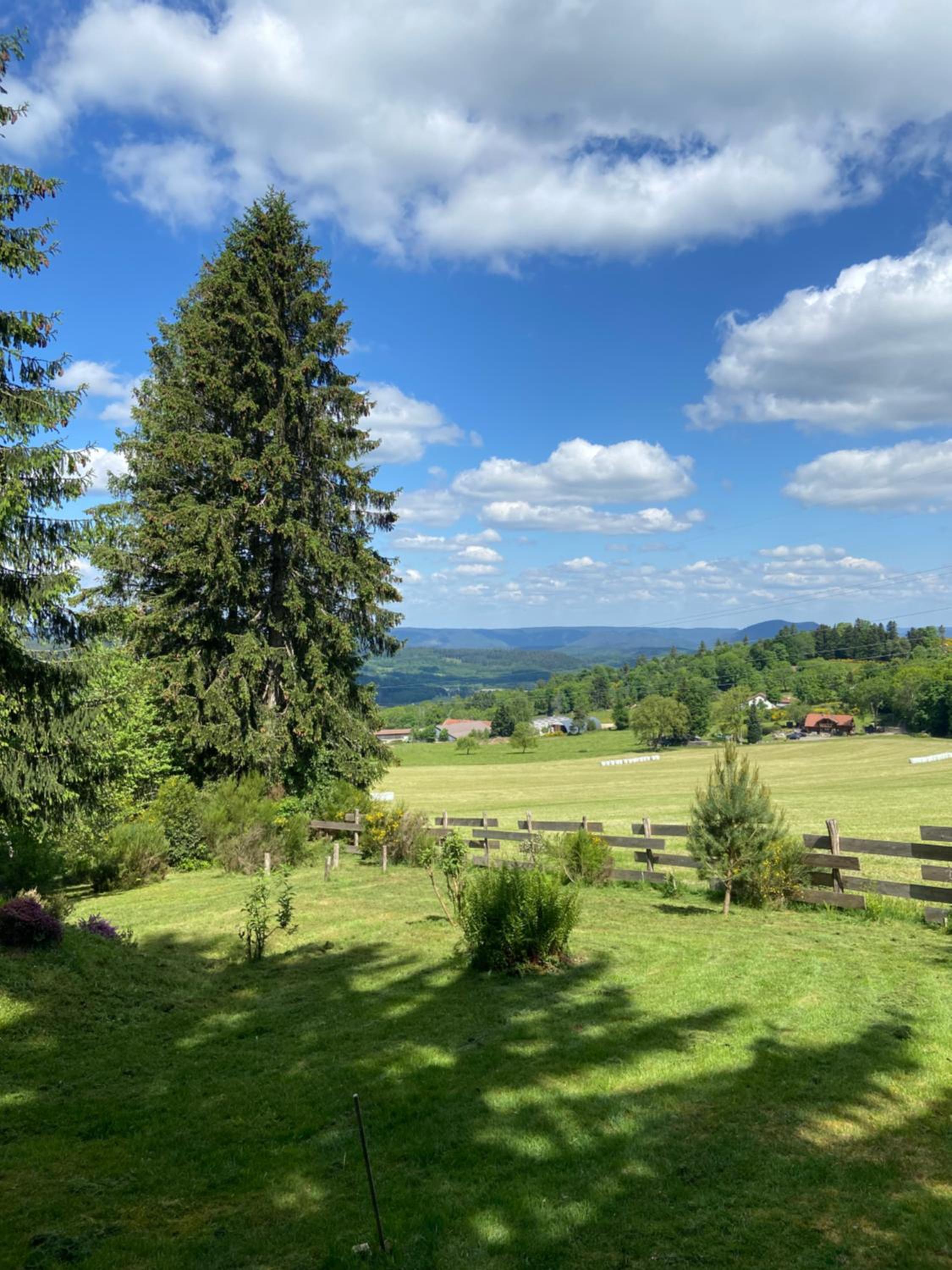 Chalet bois au calme, en lisière de forêt, balcons, sentiers balades Gérardmer & Alsace 