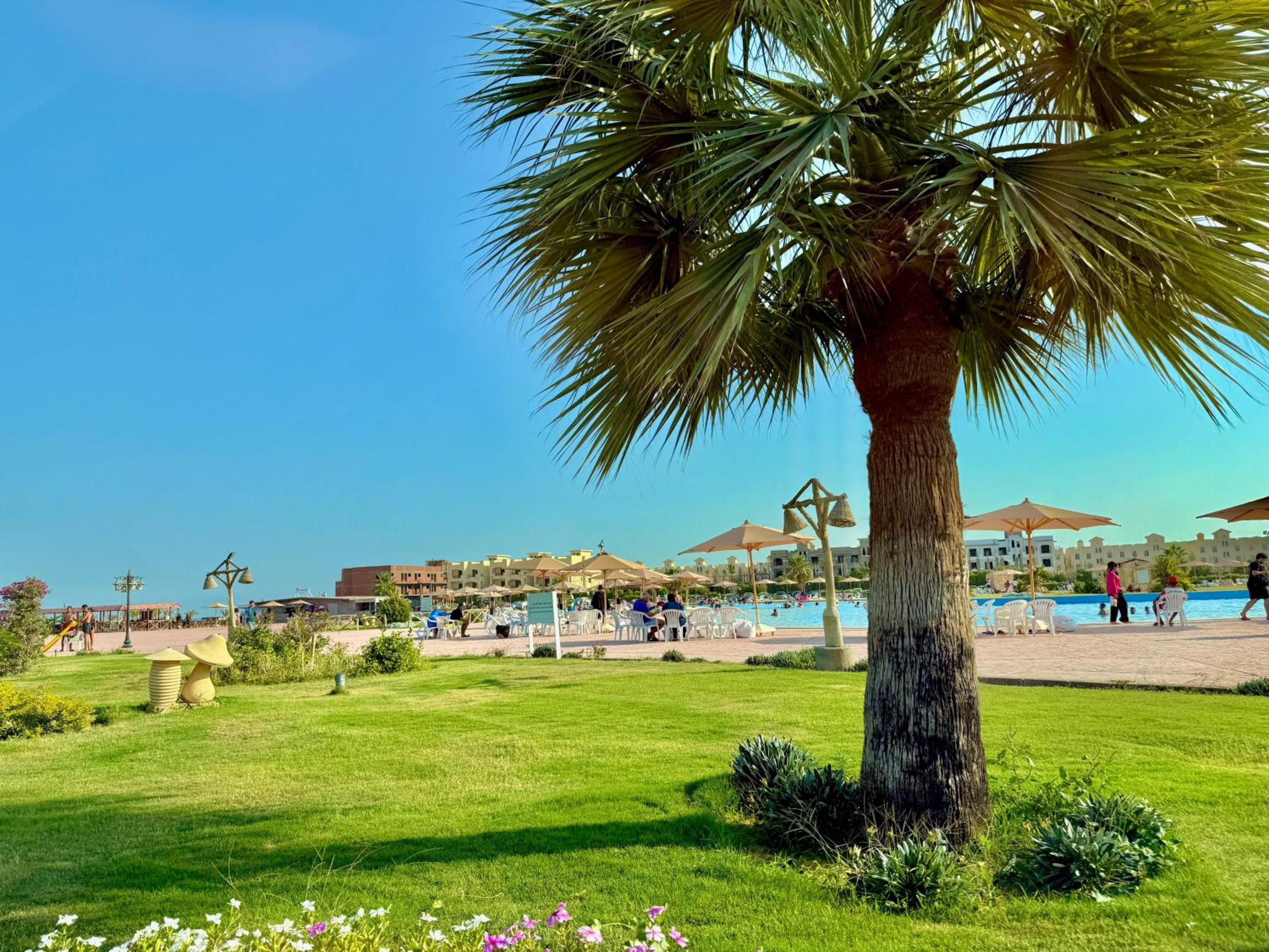 شاليه بلومار السخنة blumar wadi degla