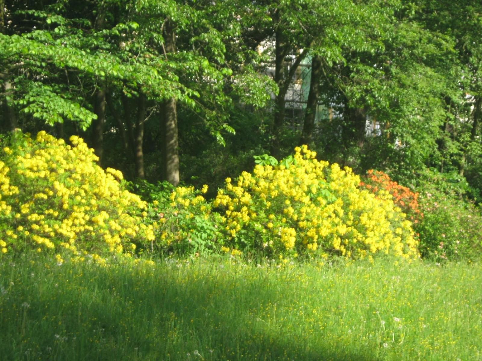 Photo 45