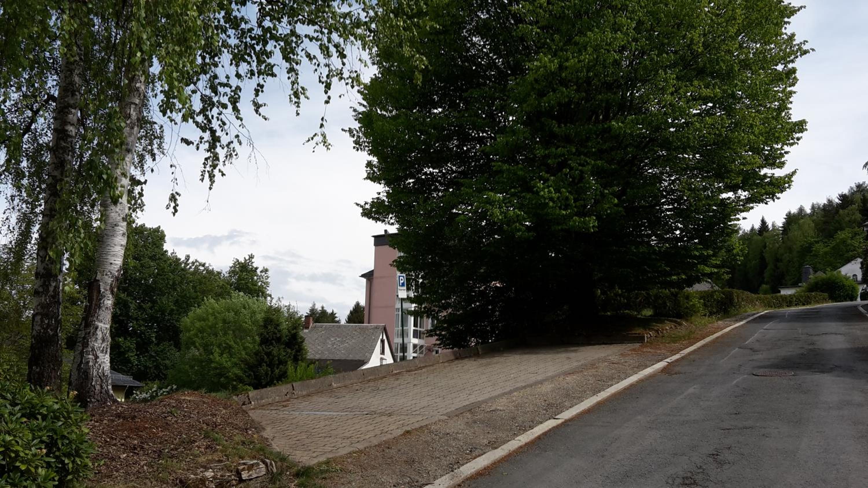 Photo 46