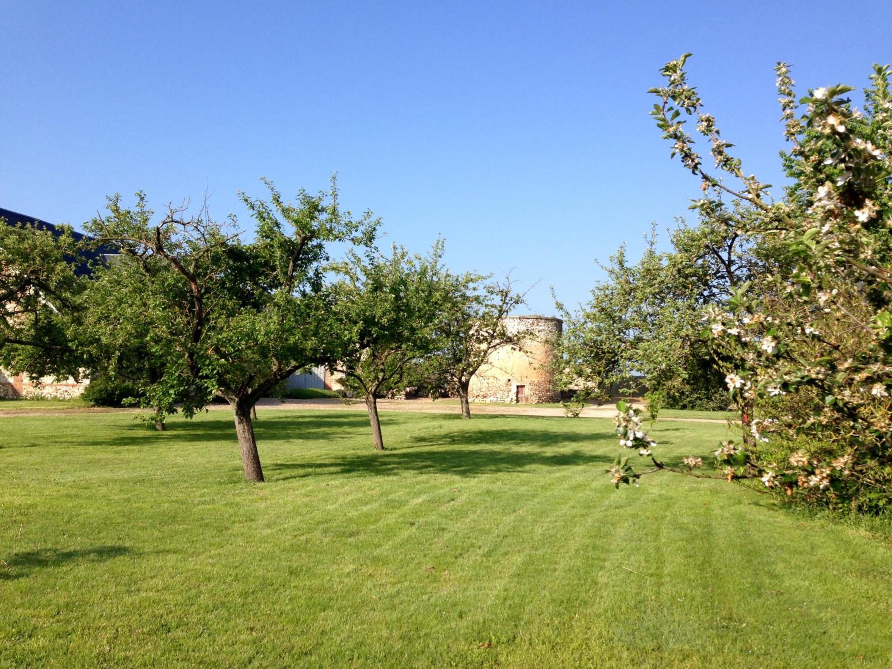 Photo 24