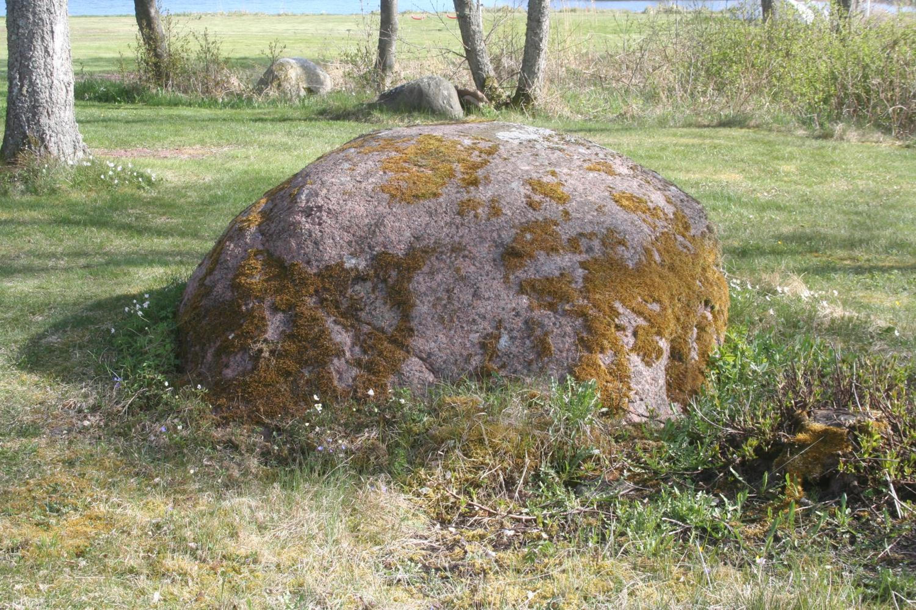 Photo 43
