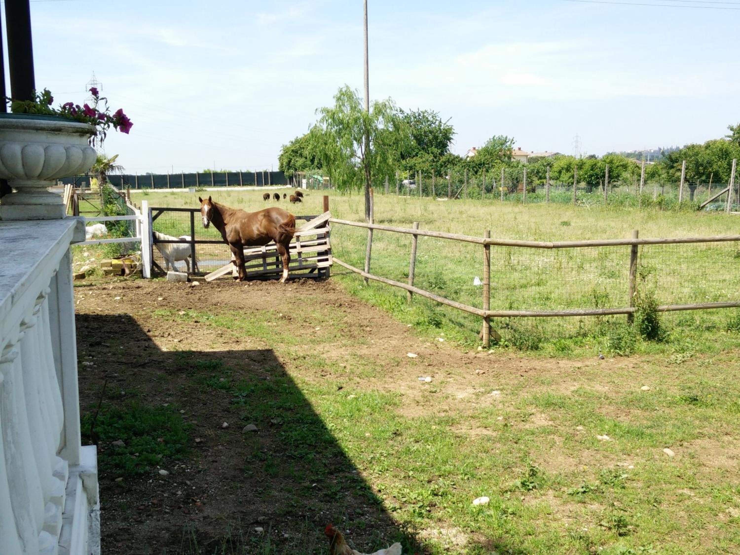 La Siesta, photo 16