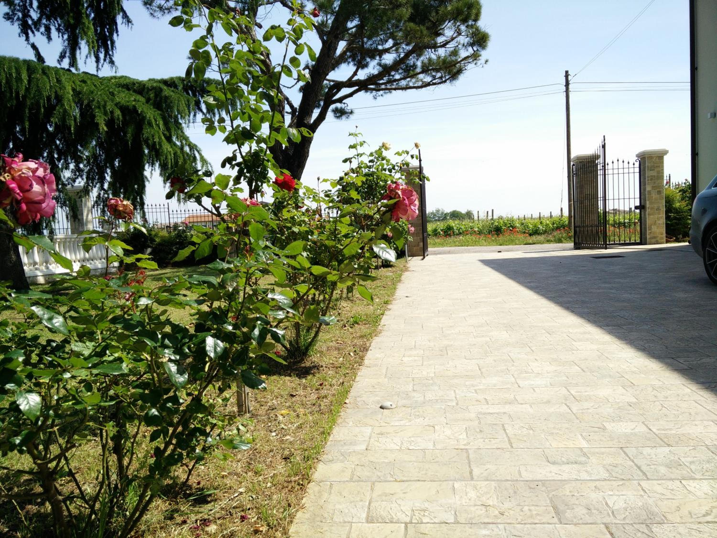 La Siesta, photo 32