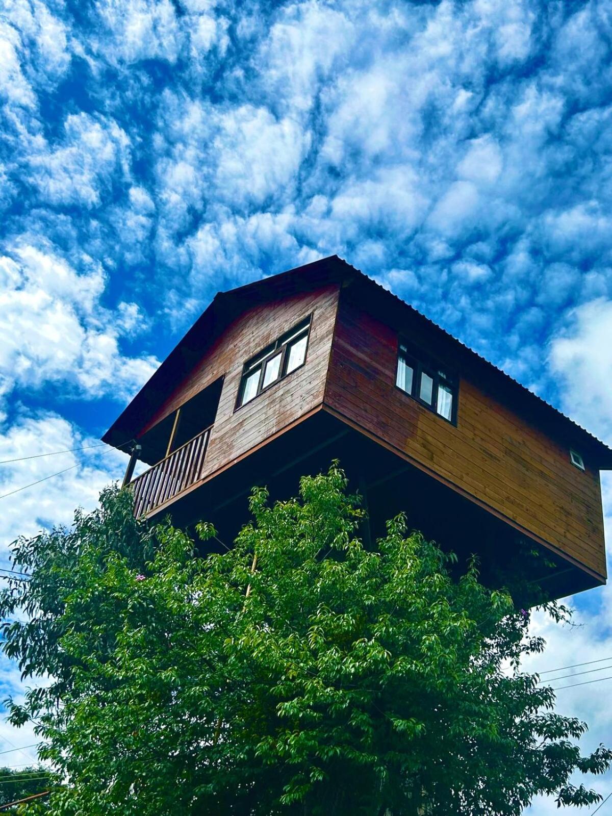 Trini Treehouse By GEstores